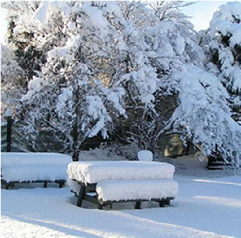 Jack In The Green Garden Rooms Hanmer Springs Exterior photo